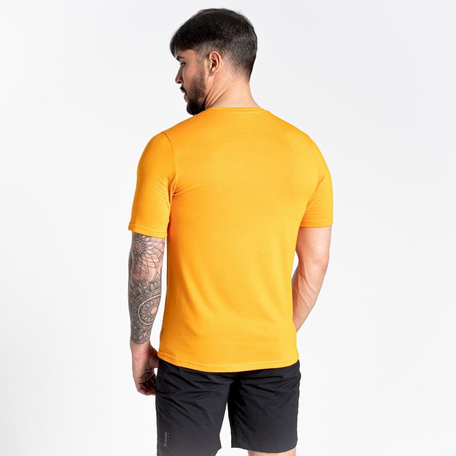 T Shirts Craghoppers Dynamic Corta Sleeved Homme Orange | VBX5241ME