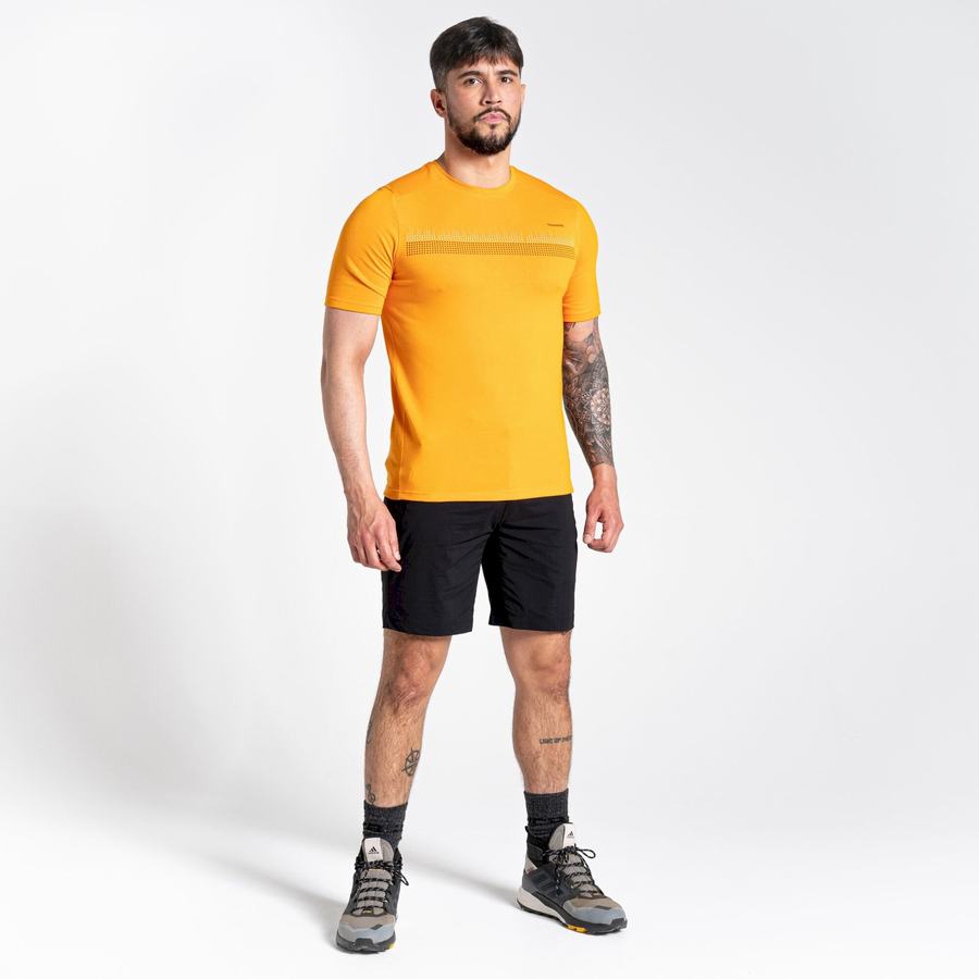 T Shirts Craghoppers Dynamic Corta Sleeved Homme Orange | VBX5241ME