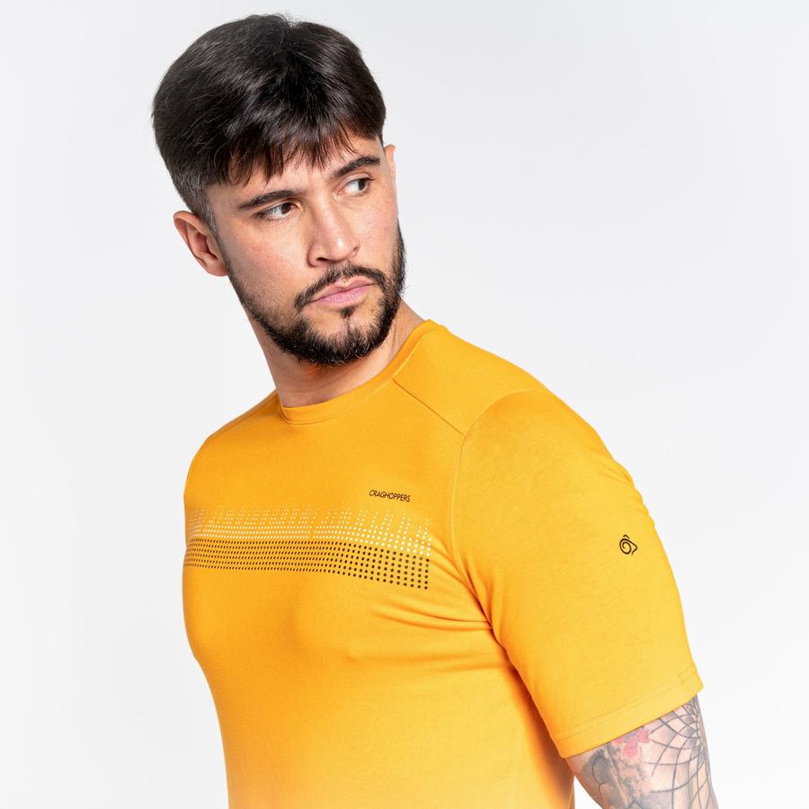 T Shirts Craghoppers Dynamic Corta Sleeved Homme Orange | VBX5241ME