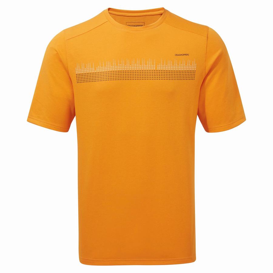 T Shirts Craghoppers Dynamic Corta Sleeved Homme Orange | VBX5241ME