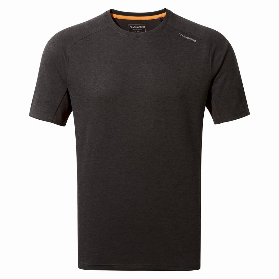 T Shirts Craghoppers Dynamic Pro Corta Sleeved Homme Noir | ZWE8551AG