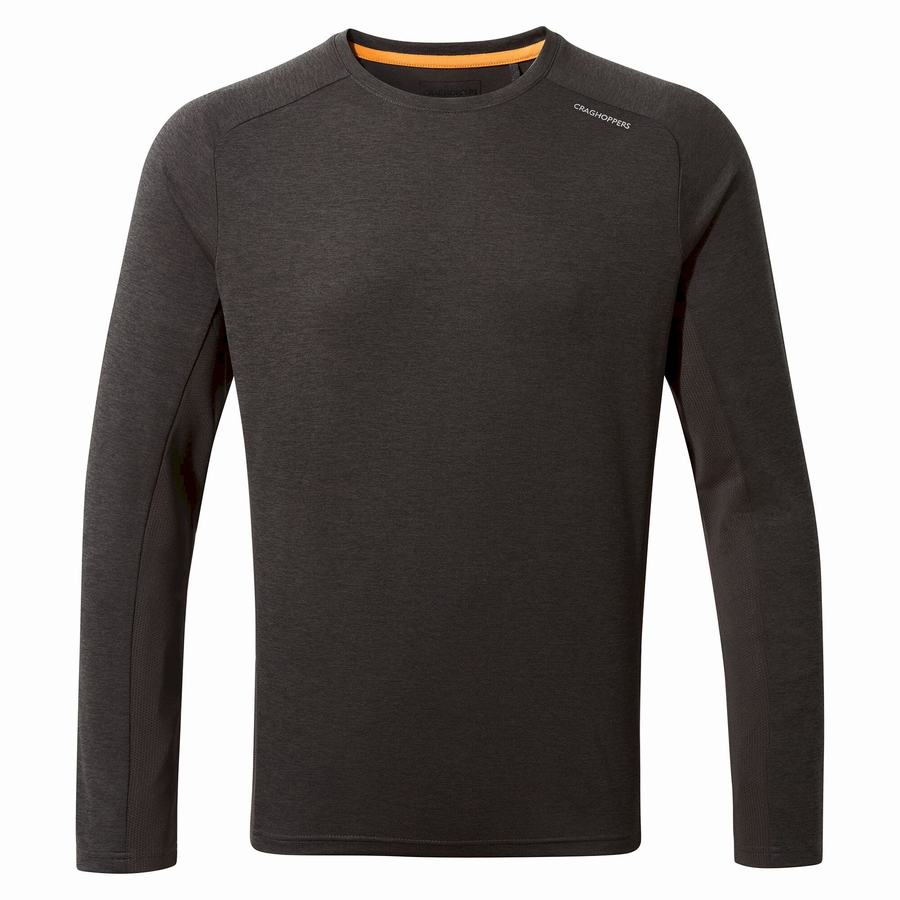 T Shirts Craghoppers Dynamic Pro Long Sleeved Homme Noir | UTD3462KB