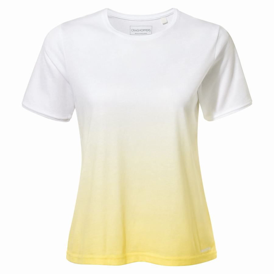 T Shirts Craghoppers Ilyse Corta Sleeved Femme Blanche Jaune | OKN825NB