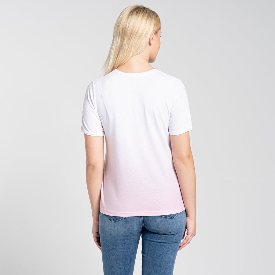 T Shirts Craghoppers Ilyse Corta Sleeved Femme Rose | USC5490RF