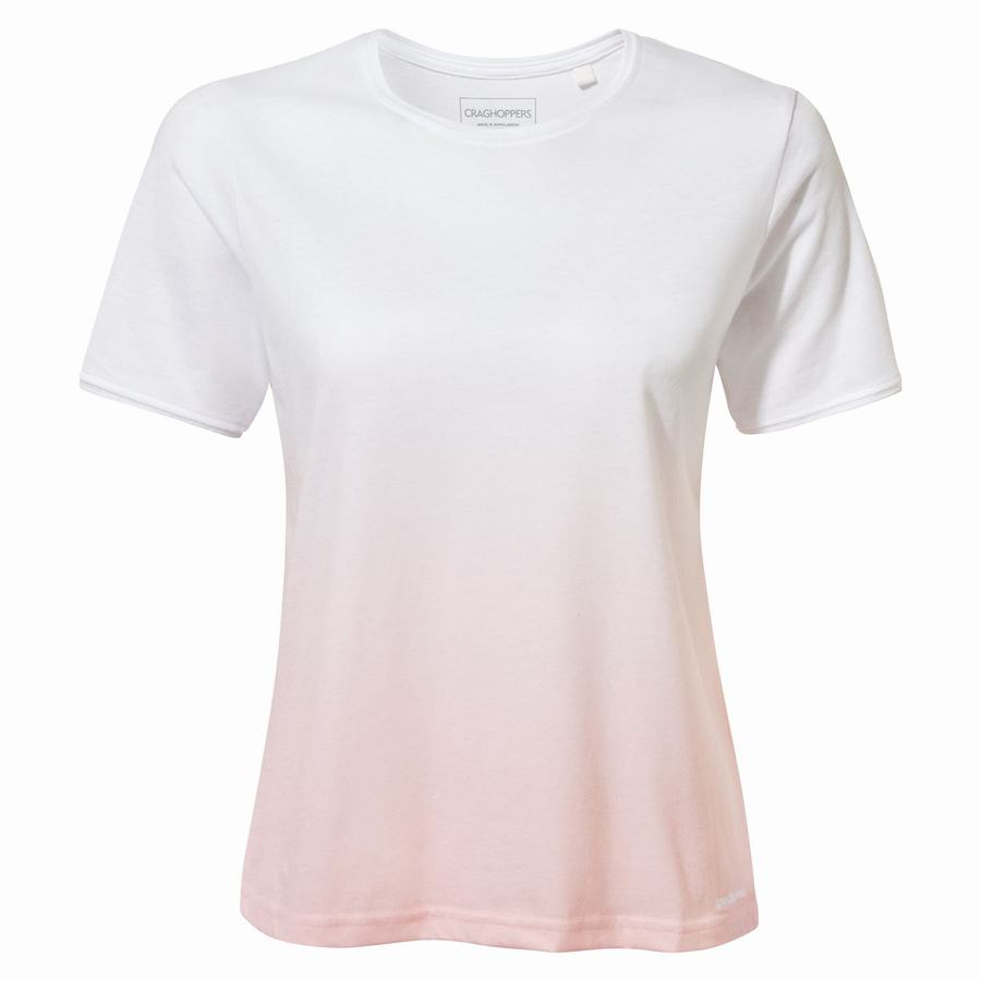 T Shirts Craghoppers Ilyse Corta Sleeved Femme Rose | USC5490RF