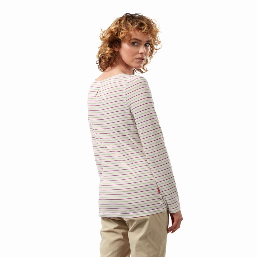 T Shirts Craghoppers NosiLife Erin Long Sleeved Femme Vert Clair Stripes | ABA1460MO