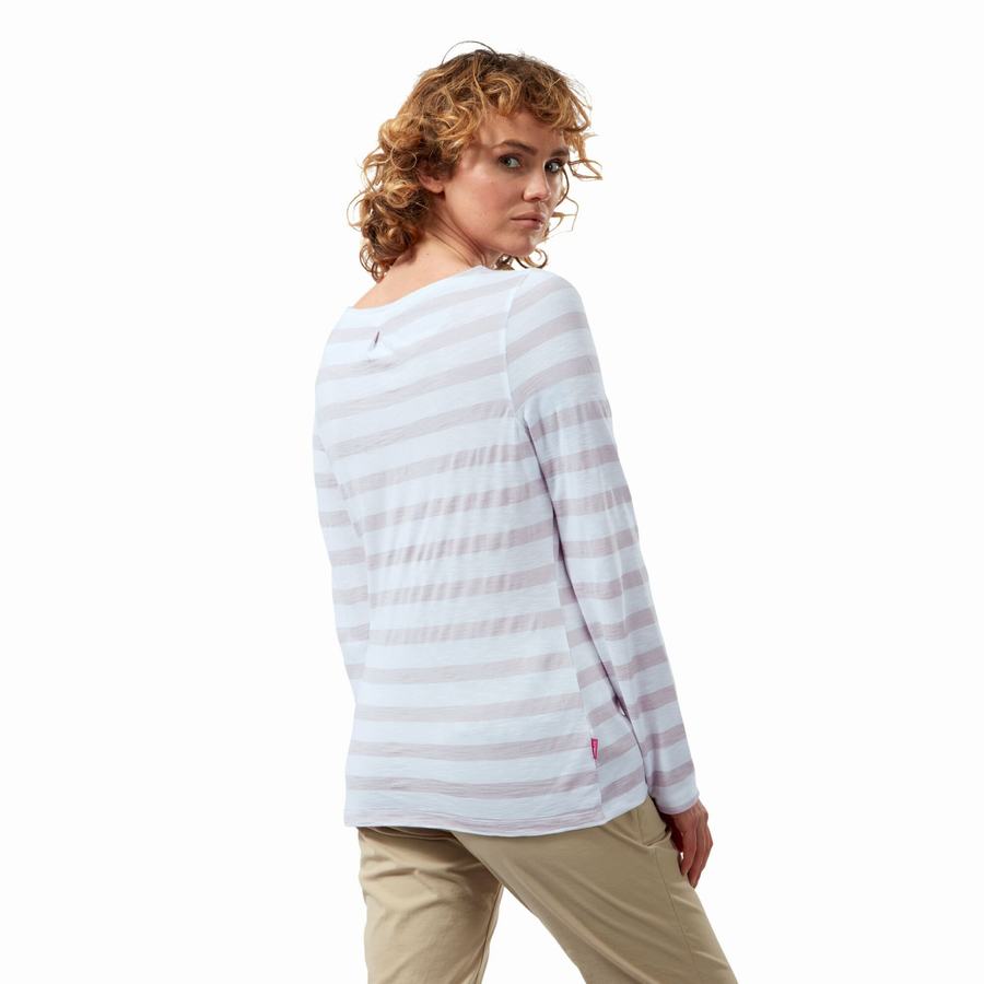 T Shirts Craghoppers NosiLife Erin Long Sleeved Femme Violette Stripes | JXX1973II