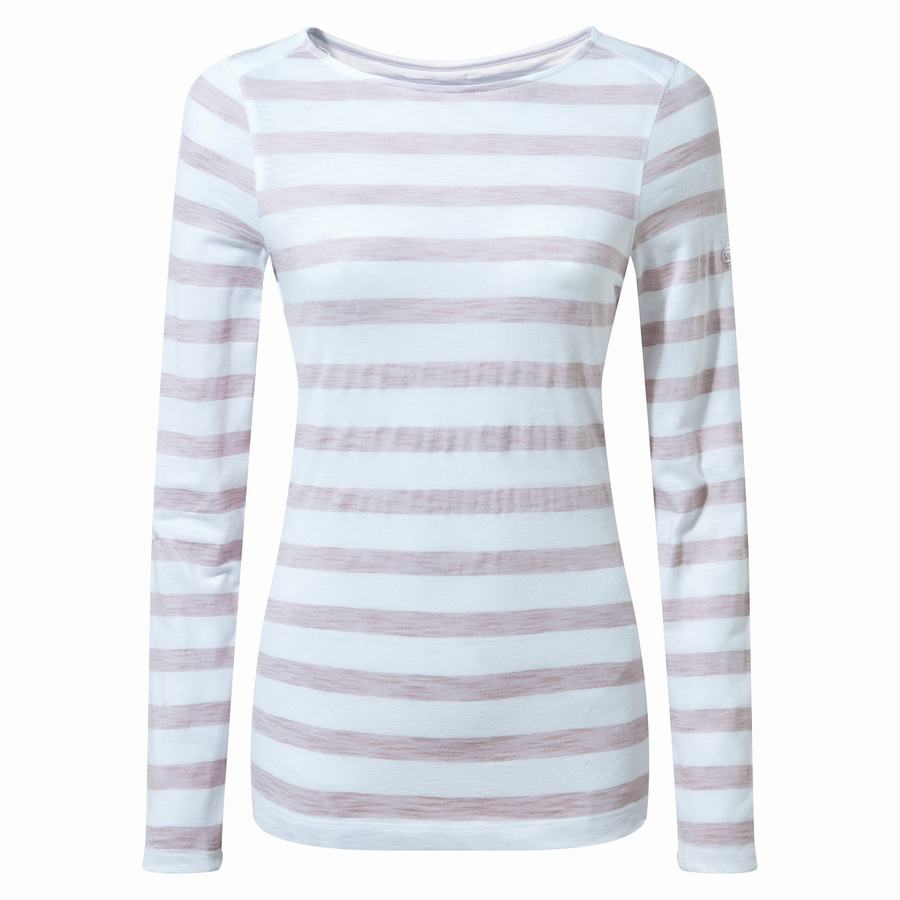 T Shirts Craghoppers NosiLife Erin Long Sleeved Femme Violette Stripes | JXX1973II