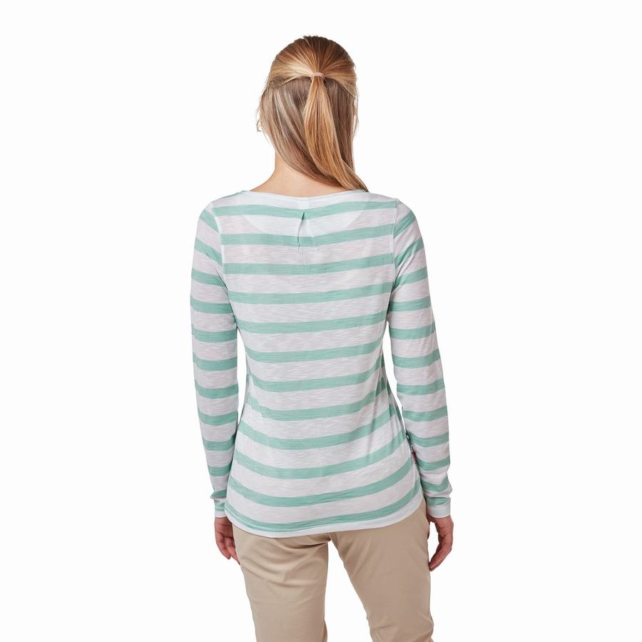 T Shirts Craghoppers NosiLife Erin Long Sleeved Femme Turquoise Stripes | WME10074JB