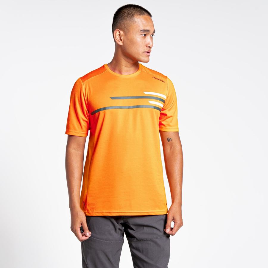 T Shirts Craghoppers NosiLife Pro Active Corta Sleeved Homme Orange | BUA4794XZ