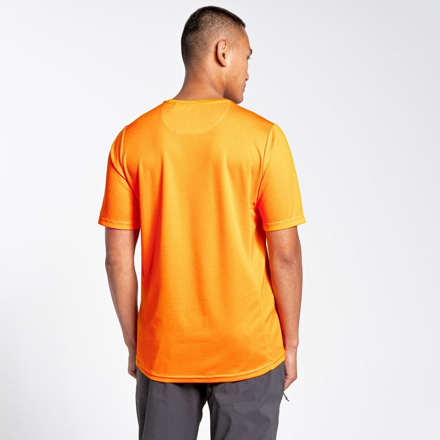 T Shirts Craghoppers NosiLife Pro Active Corta Sleeved Homme Orange | BUA4794XZ