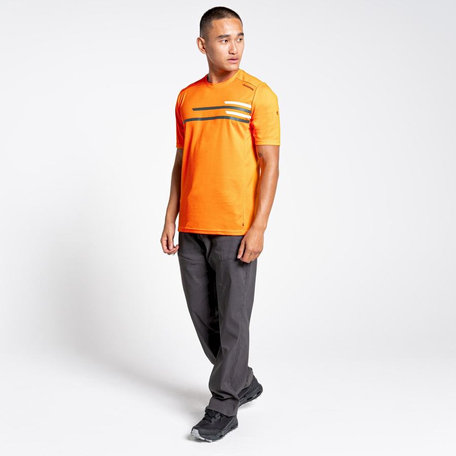 T Shirts Craghoppers NosiLife Pro Active Corta Sleeved Homme Orange | BUA4794XZ