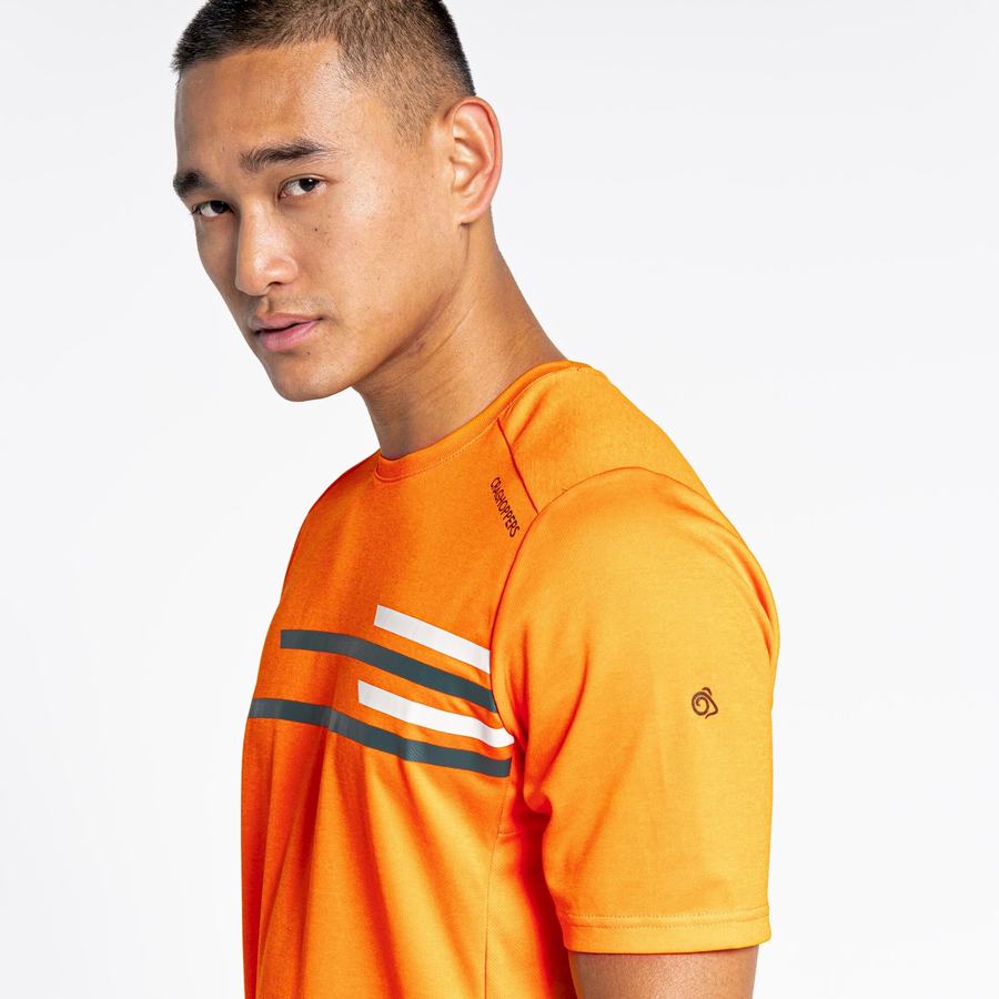 T Shirts Craghoppers NosiLife Pro Active Corta Sleeved Homme Orange | BUA4794XZ