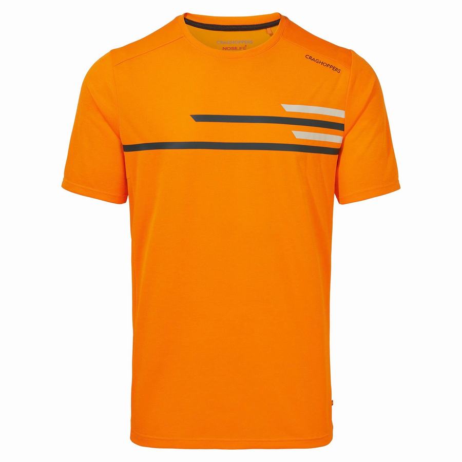 T Shirts Craghoppers NosiLife Pro Active Corta Sleeved Homme Orange | BUA4794XZ