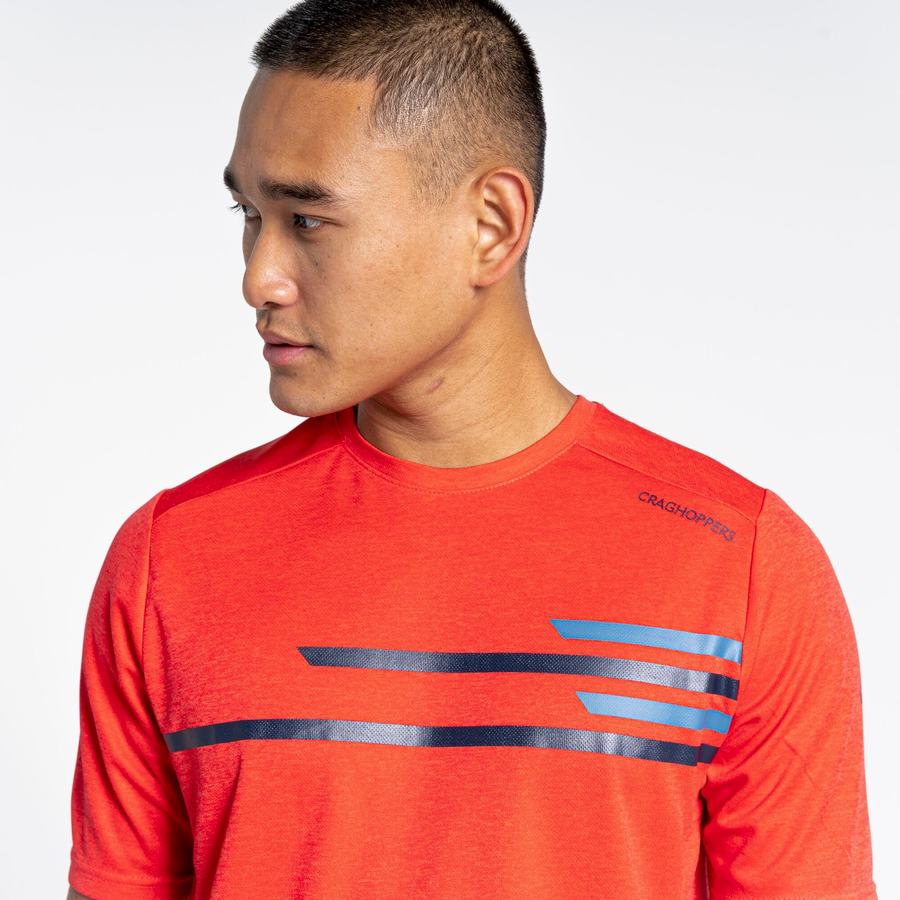 T Shirts Craghoppers NosiLife Pro Active Corta Sleeved Homme Orange Rouge | PMG8179AT