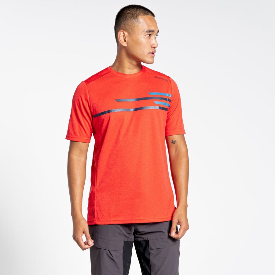 T Shirts Craghoppers NosiLife Pro Active Corta Sleeved Homme Orange Rouge | PMG8179AT