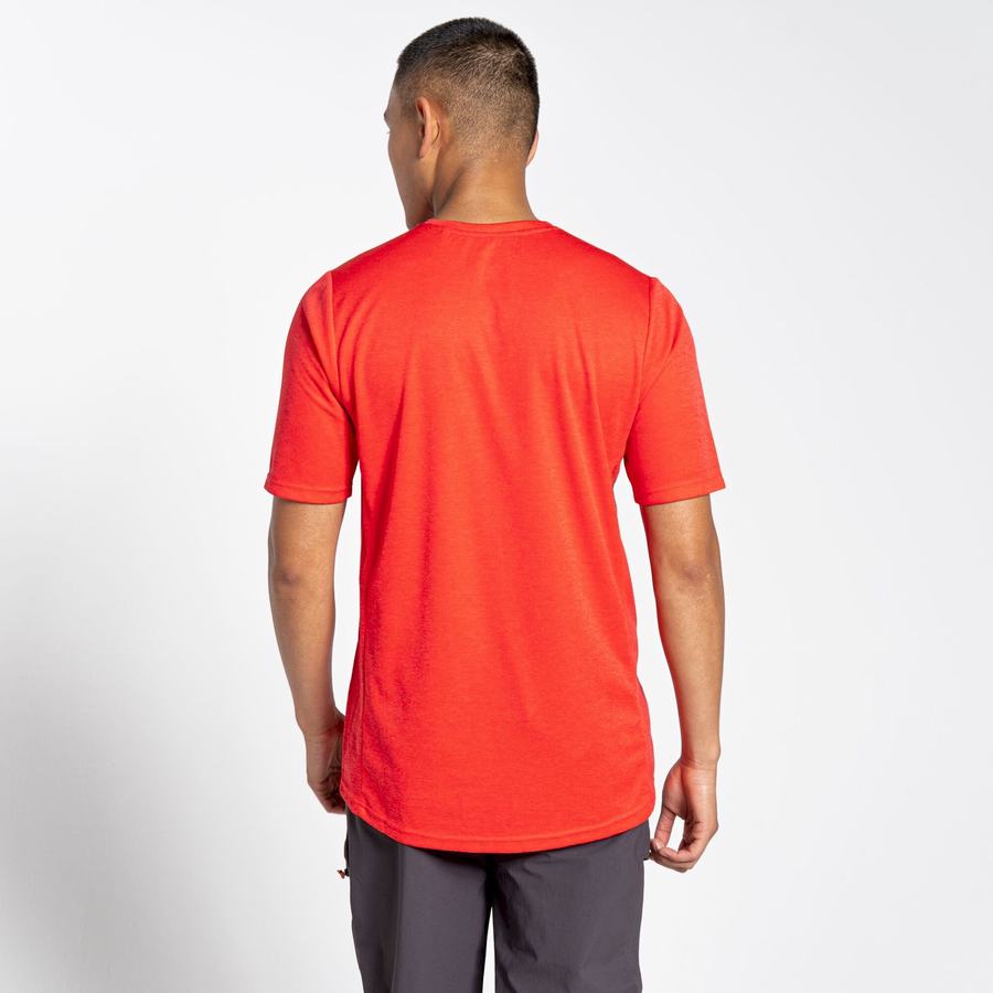 T Shirts Craghoppers NosiLife Pro Active Corta Sleeved Homme Orange Rouge | PMG8179AT