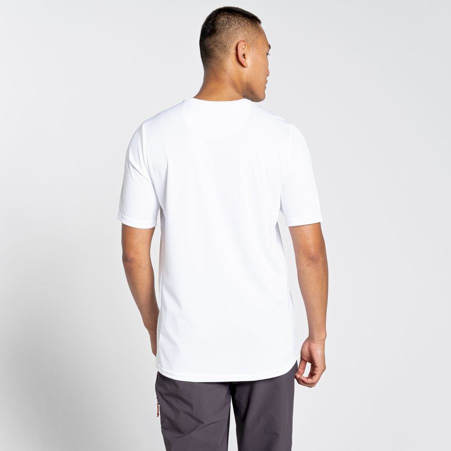 T Shirts Craghoppers NosiLife Pro Active Corta Sleeved Homme Blanche | VYS7155EP