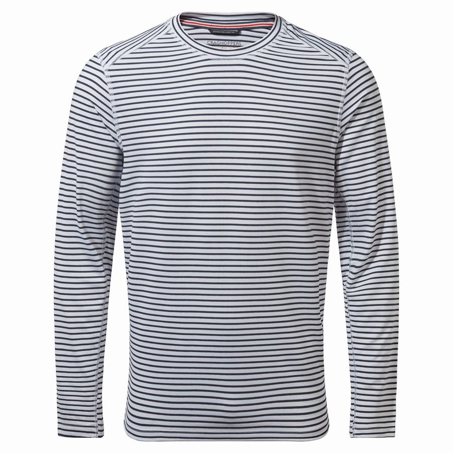 T Shirts Craghoppers NosiLife Talen Long Sleeved Homme Blanche Stripes | NIQ914XV