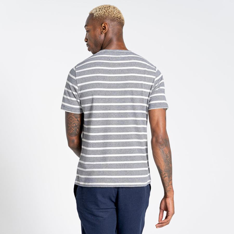 T Shirts Craghoppers Nosibotanical Sten Corta Sleeved Homme Bleu Bleu Marine Stripes | ADO3048NB