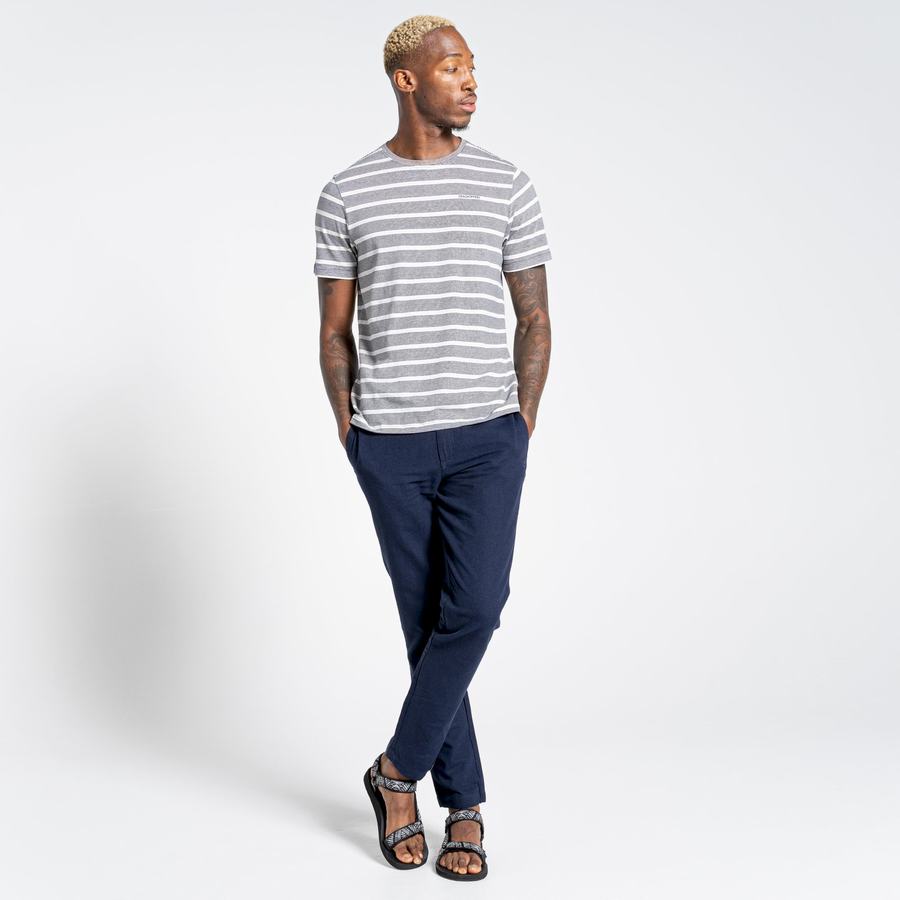 T Shirts Craghoppers Nosibotanical Sten Corta Sleeved Homme Bleu Bleu Marine Stripes | ADO3048NB