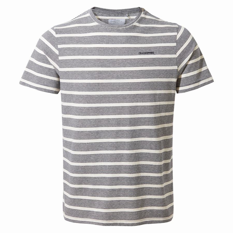 T Shirts Craghoppers Nosibotanical Sten Corta Sleeved Homme Bleu Bleu Marine Stripes | ADO3048NB