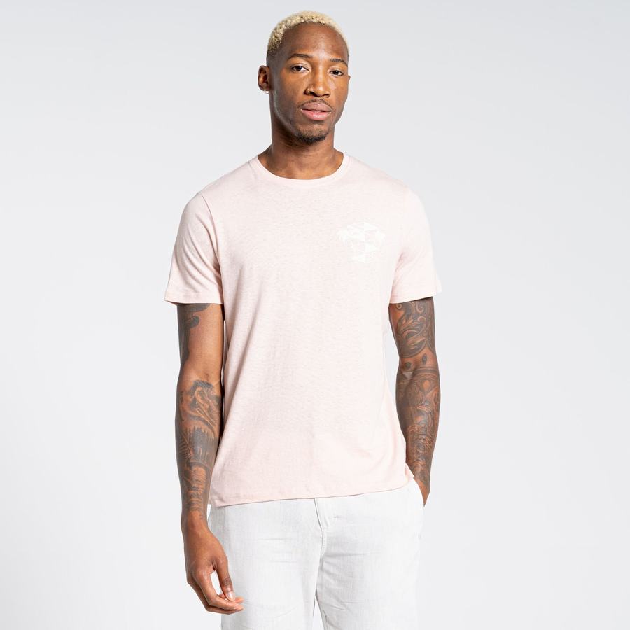 T Shirts Craghoppers Nosibotanical Sten Corta Sleeved Homme Rose | SFK10081CI