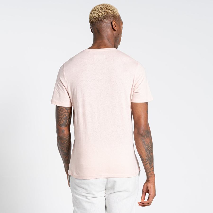 T Shirts Craghoppers Nosibotanical Sten Corta Sleeved Homme Rose | SFK10081CI