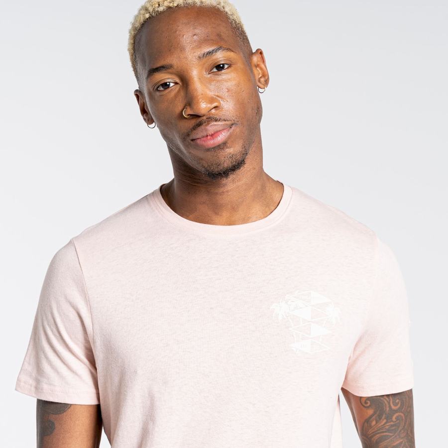 T Shirts Craghoppers Nosibotanical Sten Corta Sleeved Homme Rose | SFK10081CI