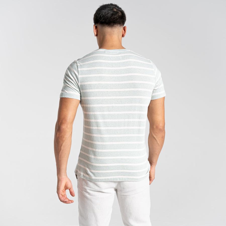 T Shirts Craghoppers Nosibotanical Sten Corta Sleeved Homme Vert Stripes | YLO5139PK