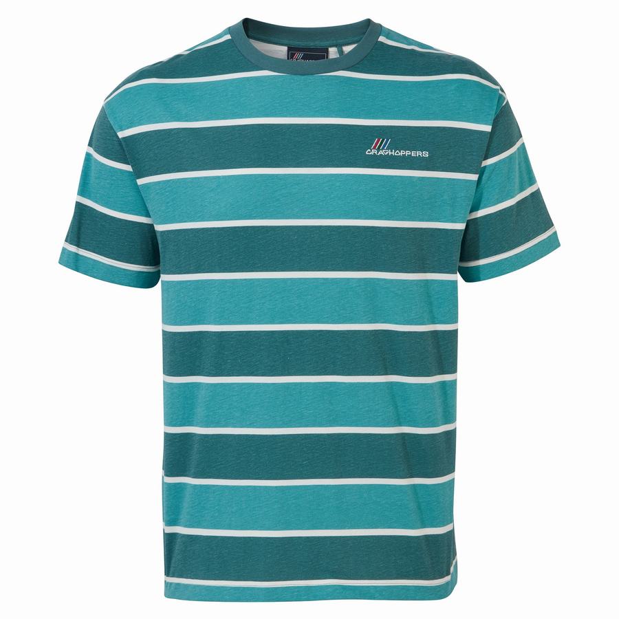 T Shirts Craghoppers Ventura Corta Sleeved Femme Vert Stripes | KNU7873XG