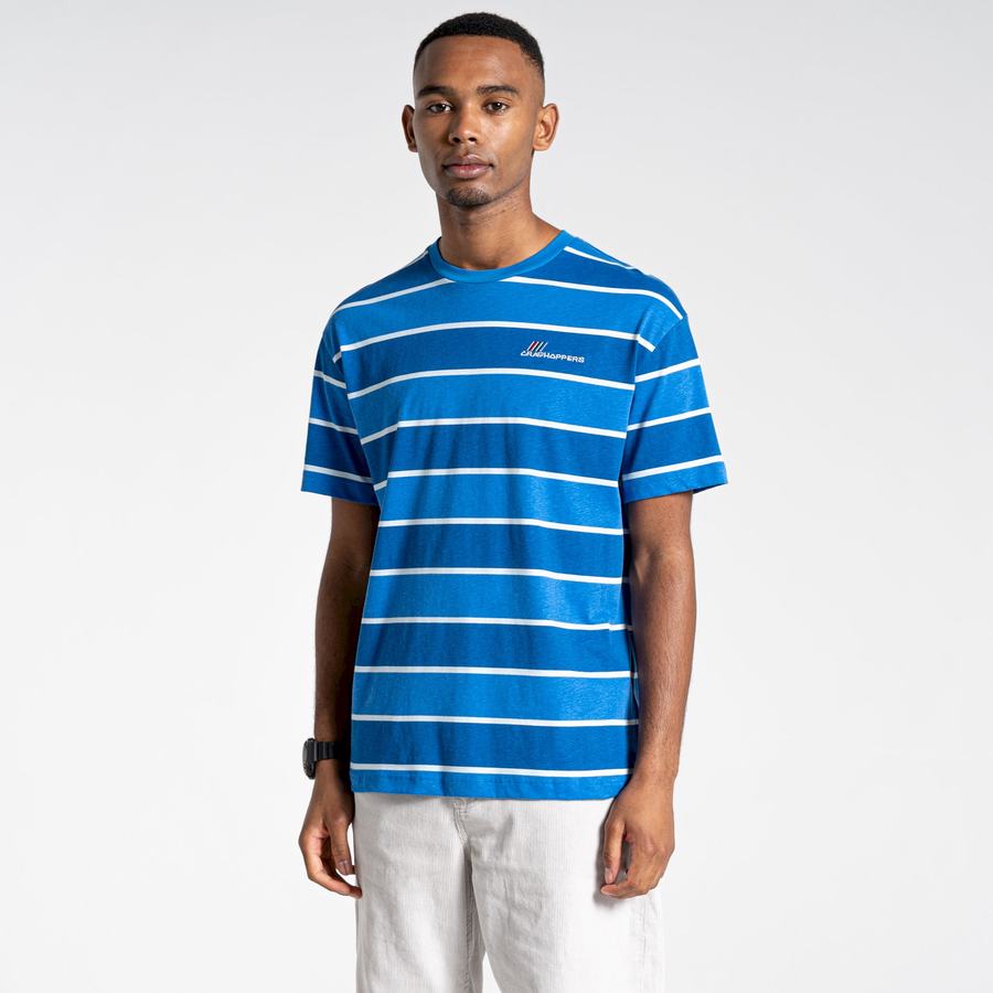 T Shirts Craghoppers Ventura Corta Sleeved Femme Bleu Stripes | SOY1333UB