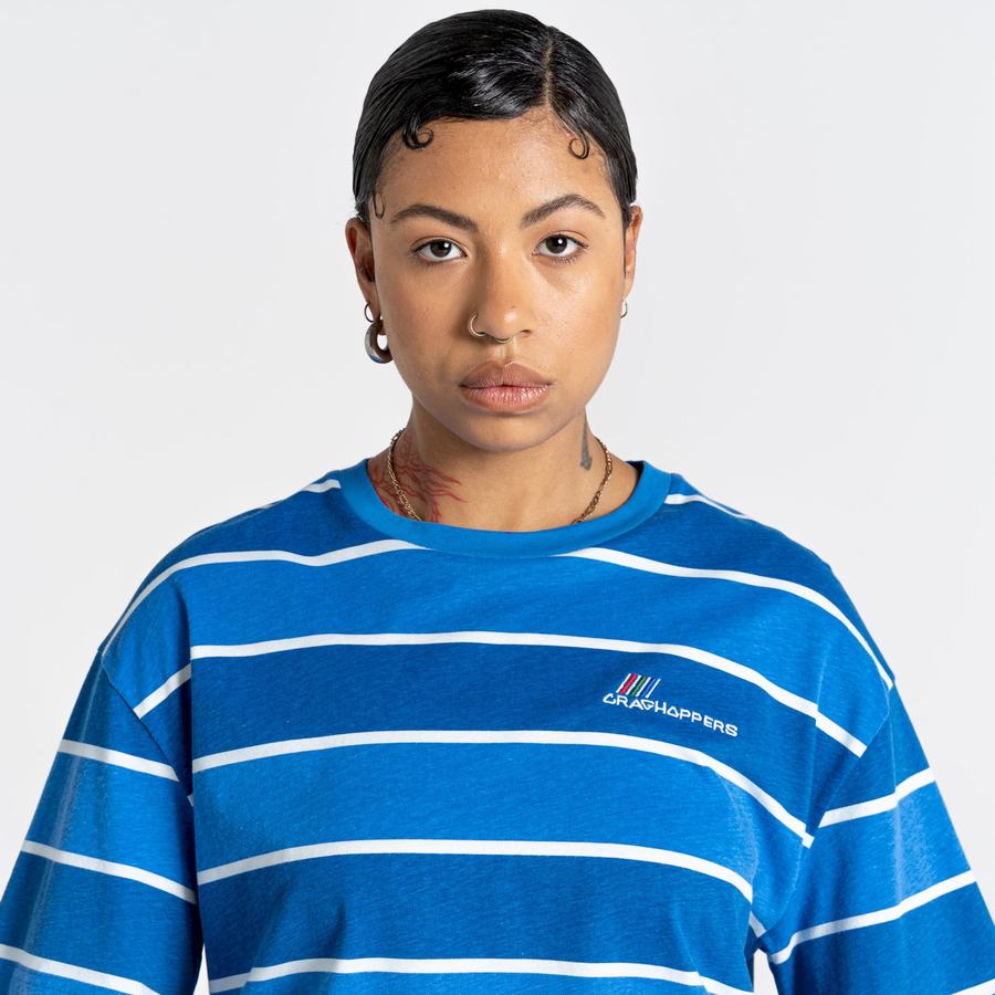 T Shirts Craghoppers Ventura Corta Sleeved Femme Bleu Stripes | SOY1333UB