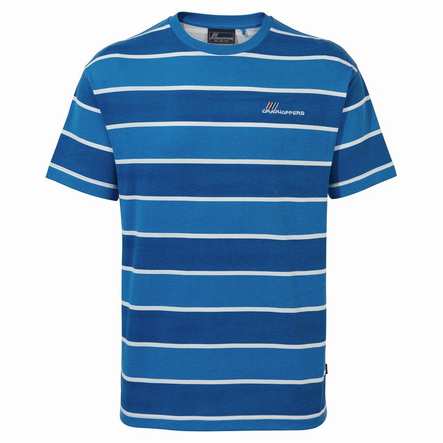 T Shirts Craghoppers Ventura Corta Sleeved Femme Bleu Stripes | SOY1333UB