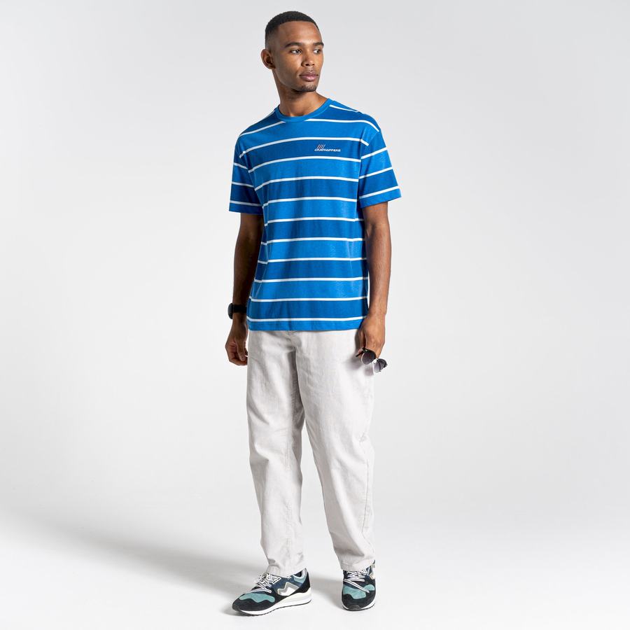 T Shirts Craghoppers Ventura Corta Sleeved Homme Bleu Stripes | XRE2413NS