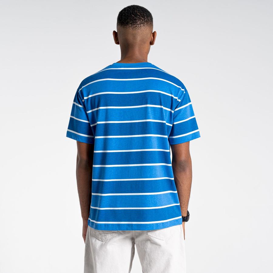 T Shirts Craghoppers Ventura Corta Sleeved Homme Bleu Stripes | XRE2413NS