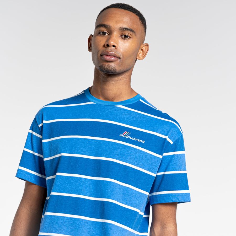 T Shirts Craghoppers Ventura Corta Sleeved Homme Bleu Stripes | XRE2413NS