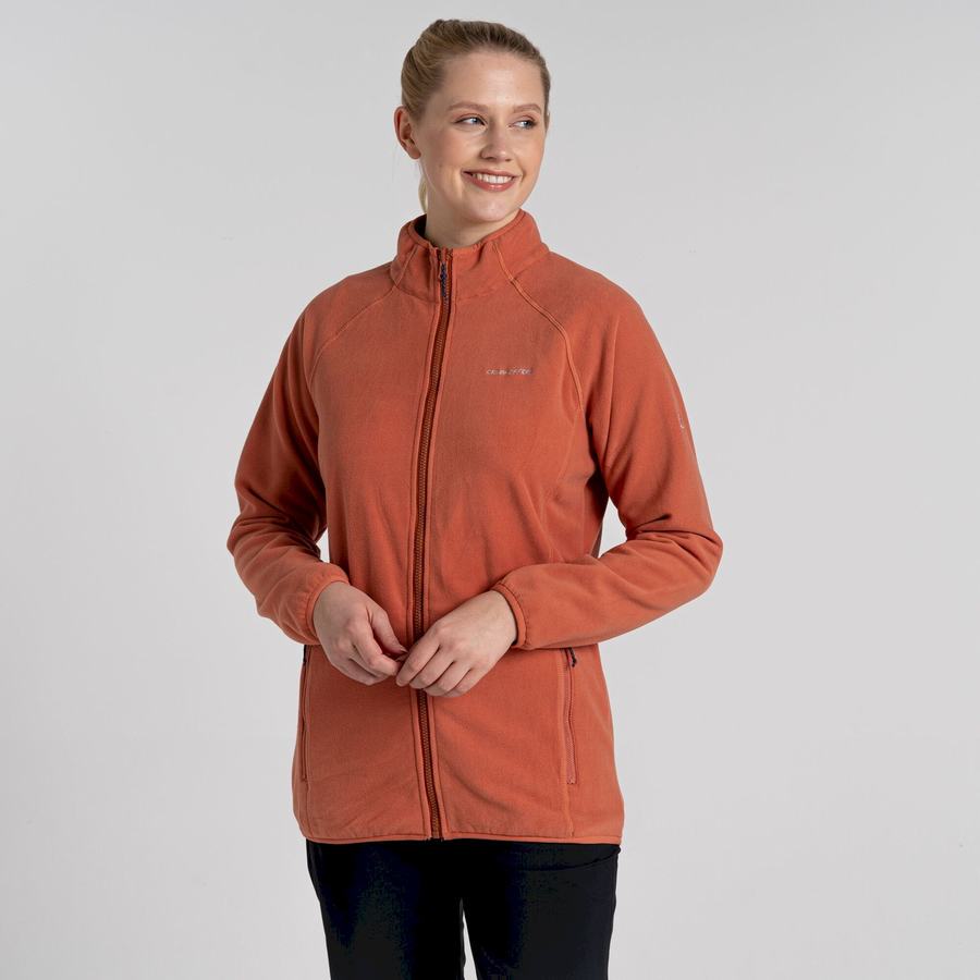 Vestes Craghoppers 3 In 1 Femme Marron | CRT3063IM