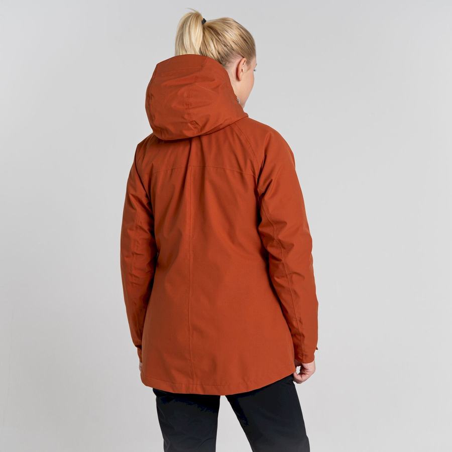 Vestes Craghoppers 3 In 1 Femme Marron | CRT3063IM