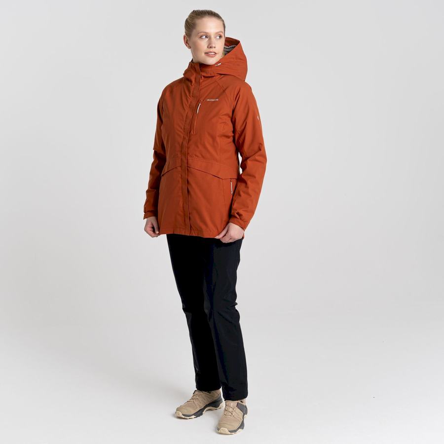 Vestes Craghoppers 3 In 1 Femme Marron | CRT3063IM