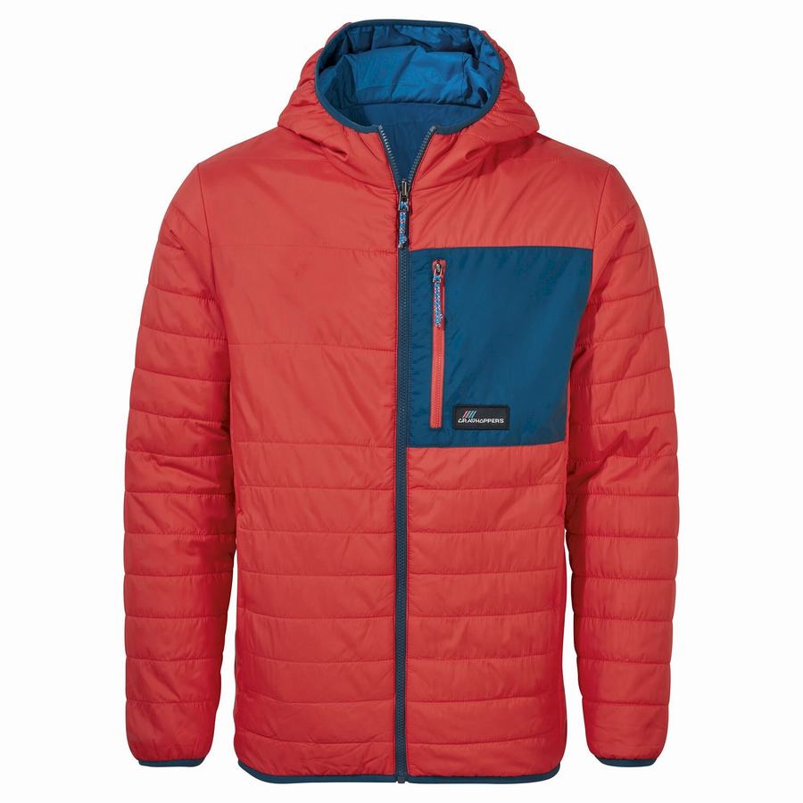 Vestes Craghoppers Cameo CompressLite Encapuchonné Homme Orange Rouge | IQD2654ES