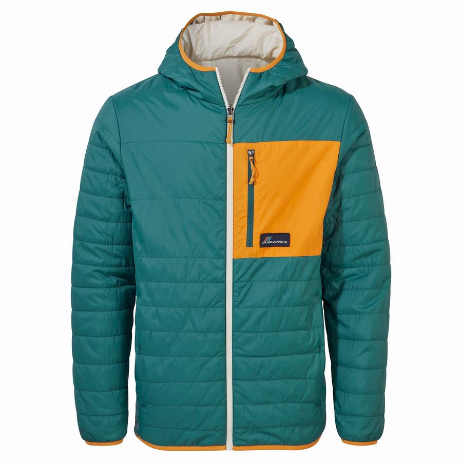 Vestes Craghoppers Cameo CompressLite Encapuchonné Femme Vert | JSO6910NS