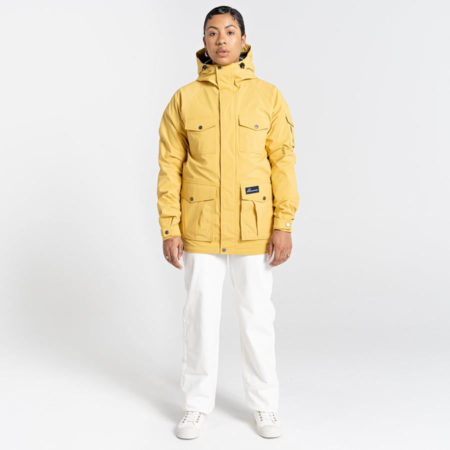 Vestes Craghoppers Canyon Homme Jaune | PWG147SQ