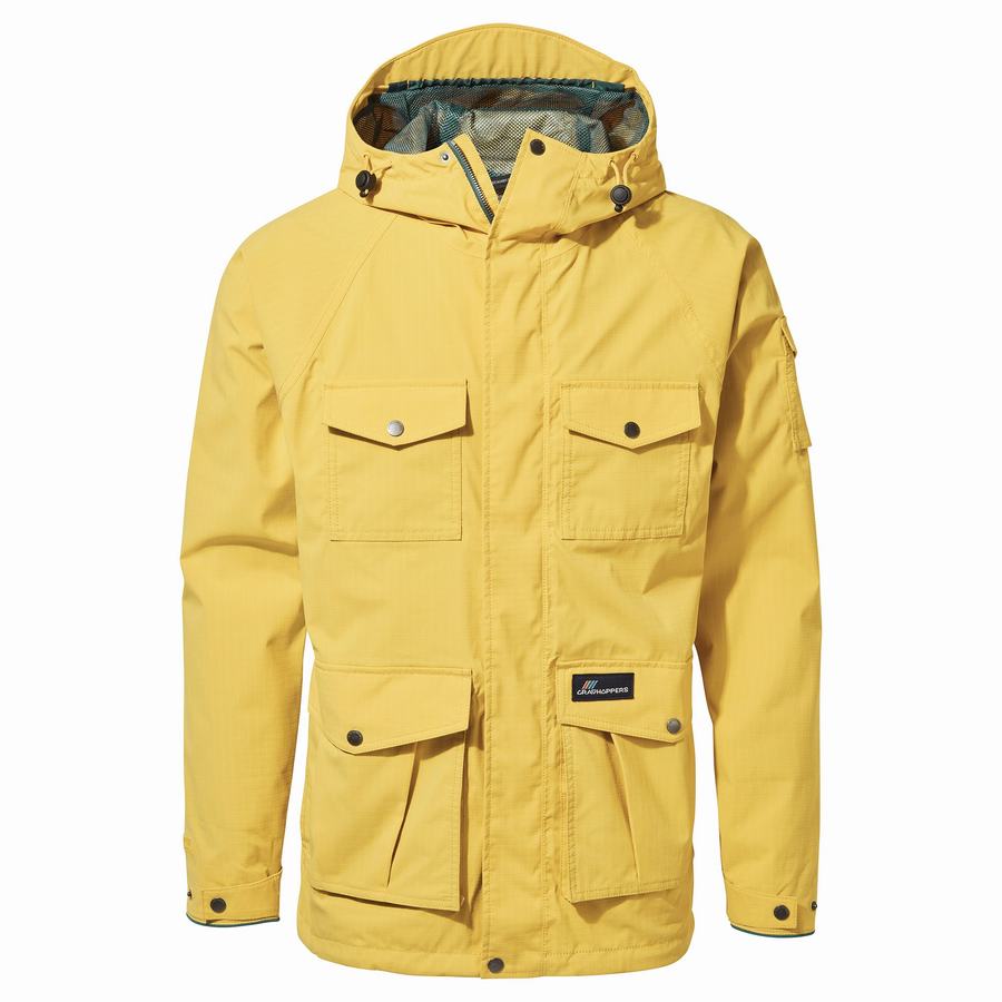 Vestes Craghoppers Canyon Homme Jaune | PWG147SQ