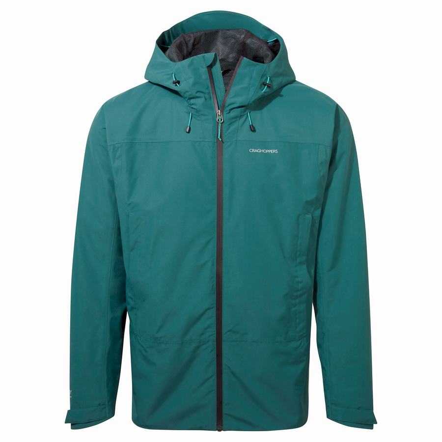 Vestes Craghoppers Creevey Homme Vert | NOZ3156QO