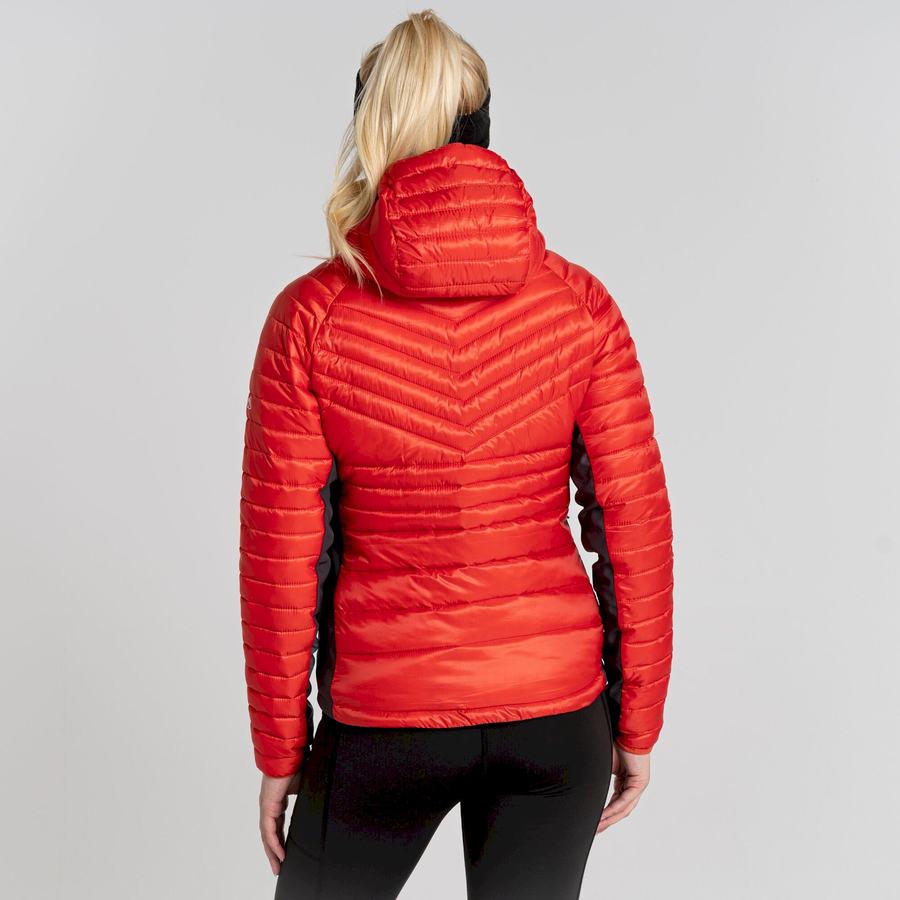 Vestes Craghoppers ExpoLite Insulated Encapuchonné Femme Orange | RPA9476GQ