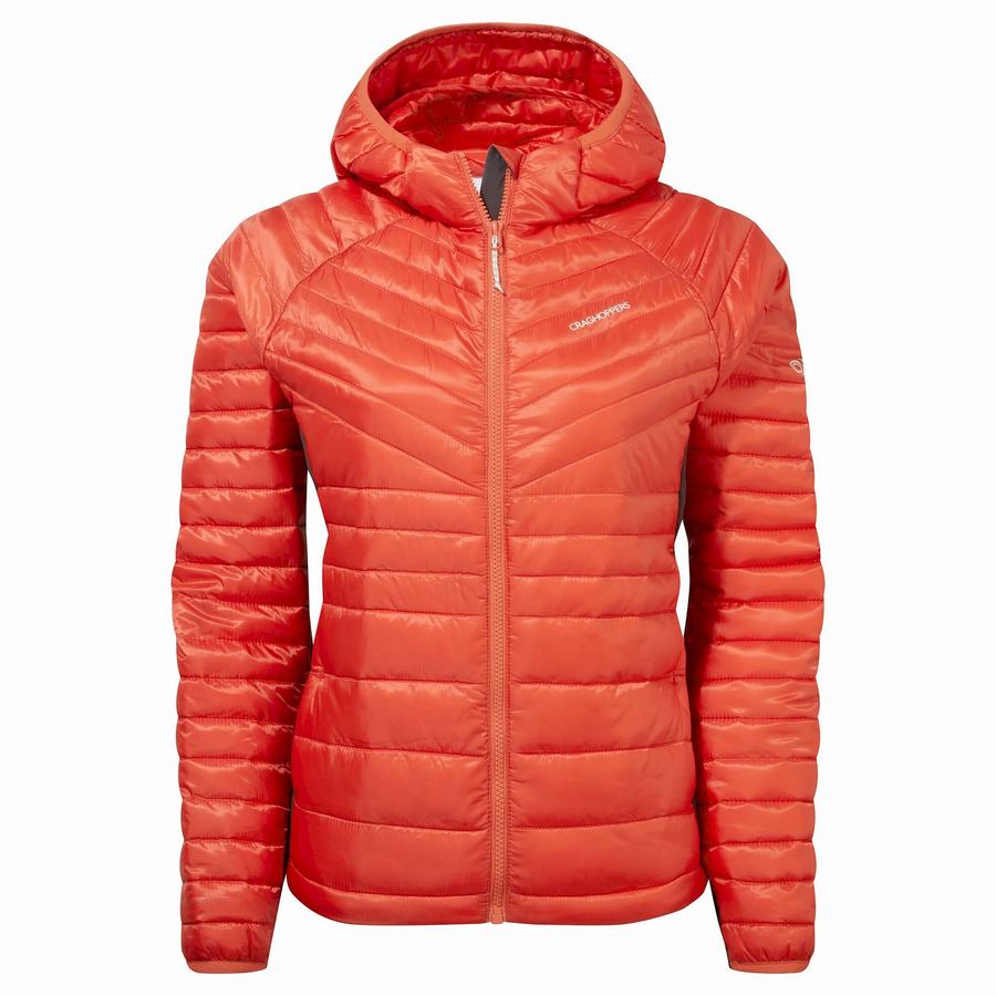 Vestes Craghoppers ExpoLite Insulated Encapuchonné Femme Orange | RPA9476GQ