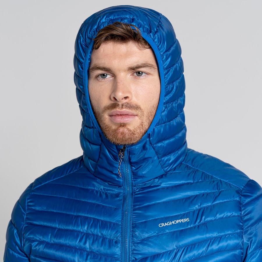 Vestes Craghoppers ExpoLite Insulated Encapuchonné Homme Bleu | XTT1829EM