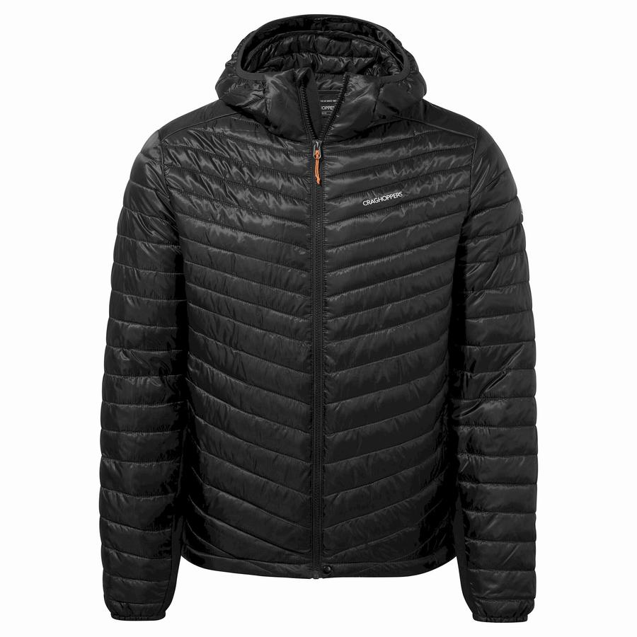 Vestes Craghoppers ExpoLite Insulated Encapuchonné Homme Noir | XWI8769VD