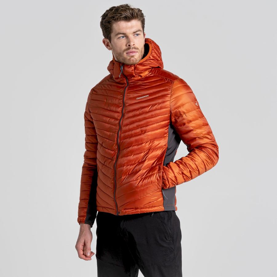 Vestes Craghoppers ExpoLite Insulated Encapuchonné Homme Orange | YUN6444ZQ